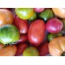 Tomates mélange 500 Grammes