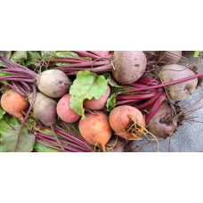 Betterave 500Grammes