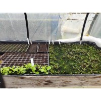 RENDEZ VOUS AU PRINTEMPS