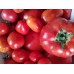 Tomates Rouges 500 grammes